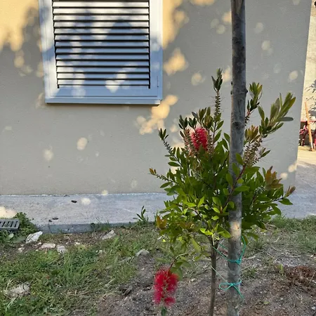 Apartament Aura